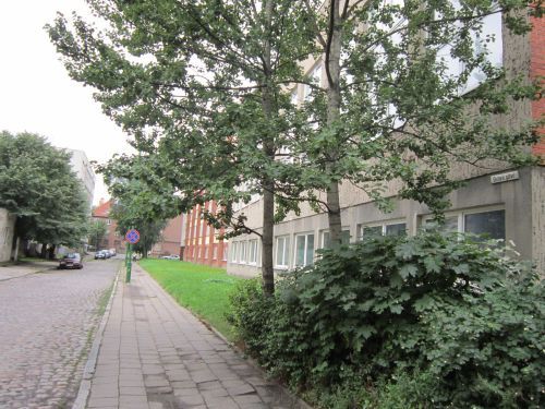 Gintaro Street