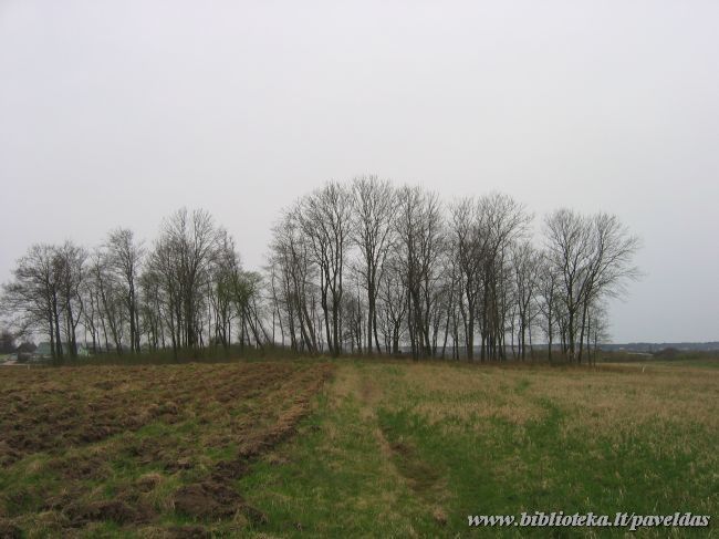 The old cemetery of the Virkuciu countryside