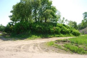 The old cemetery of Žardė village