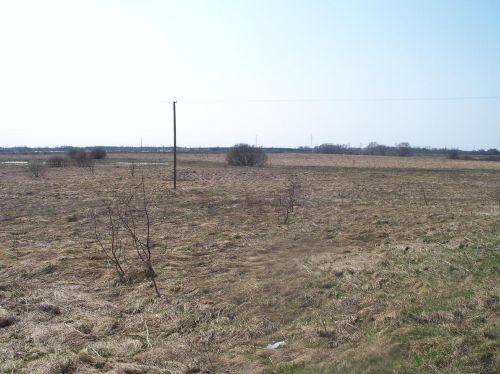 Žardės senovės gyvenvietė, 2014 m.