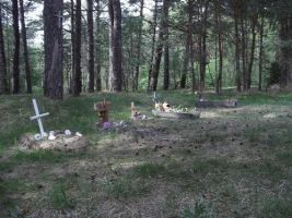 The 2nd Old Cemetery of the Village of Melnrage