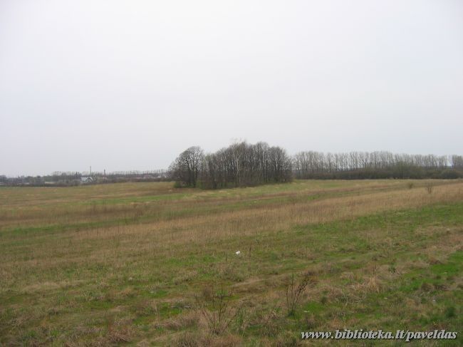 The Old Cemetery of Paupiai