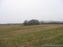 The Old Cemetery of Paupiai