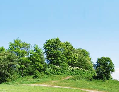 Archeologinės vietovės