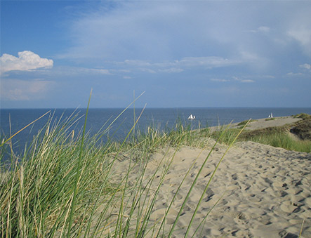 Vietovės